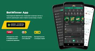 BetWinner BF The Ultimate Online Betting Platform
